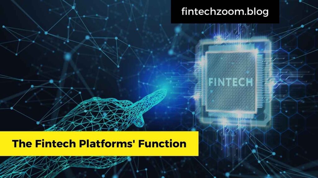 The Fintech Platforms' Function