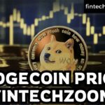 DOGECOIN PRICE FINTECHZOOM